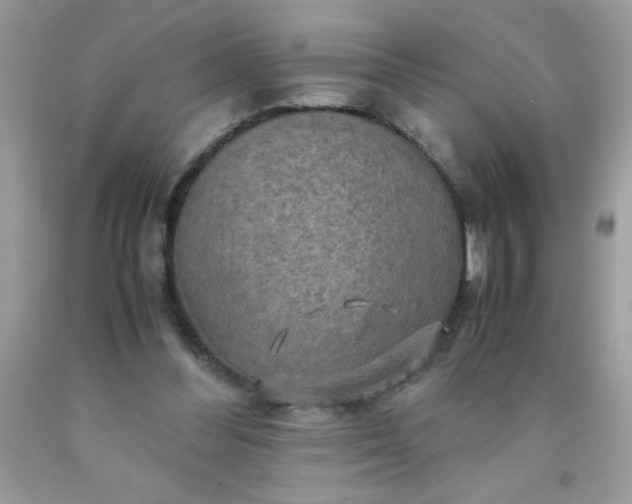 X0000090490300200707272346