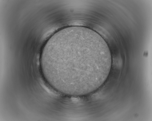 X0000090490302200707272346