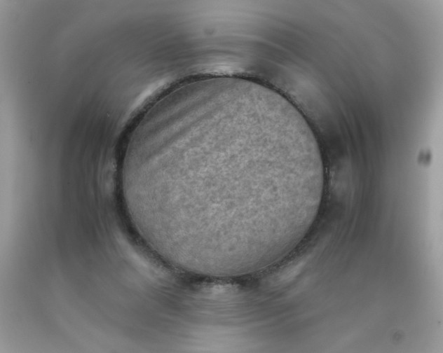 X0000090490304200707272346
