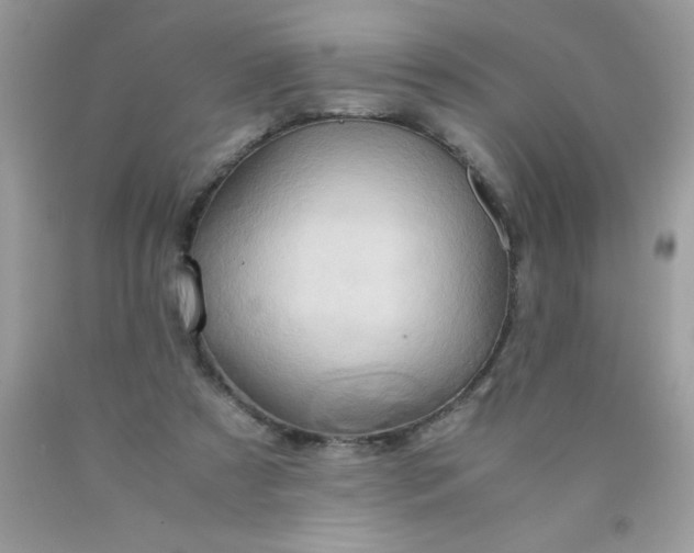 X0000090490305200707272346