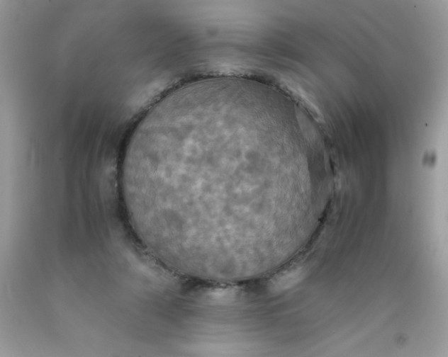 X0000090490306200707272346
