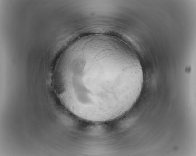 X0000090490307200707272346