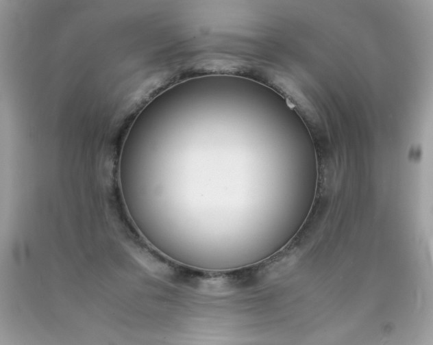 X0000090490309200707272346
