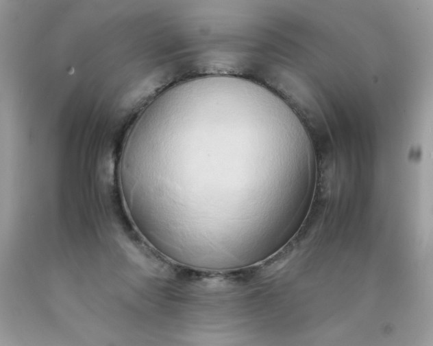 X0000090490310200707272346
