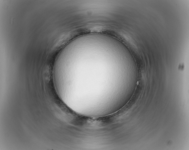 X0000090490311200707272346