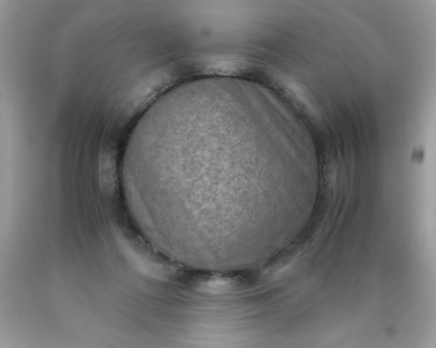X0000090490312200707272346