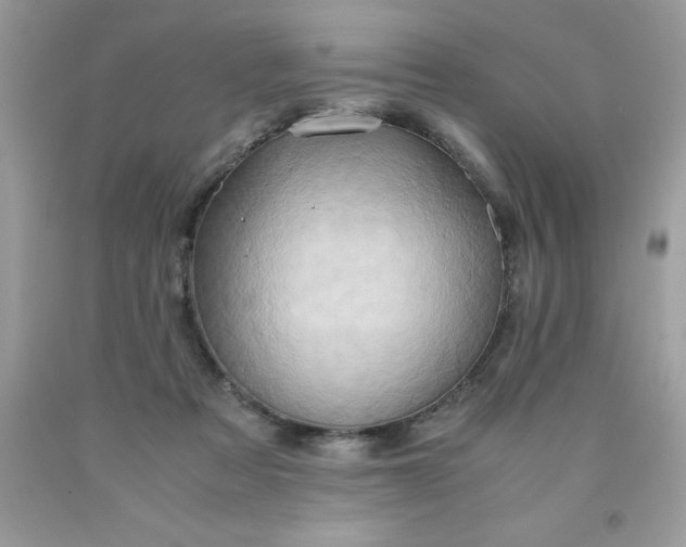 X0000090490313200707272346