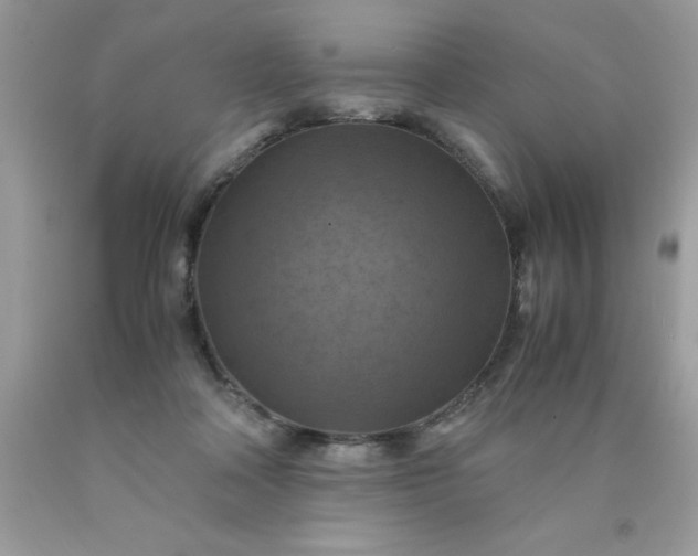 X0000090490314200707272346