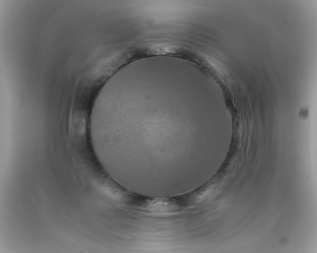 X0000090490315200707272346
