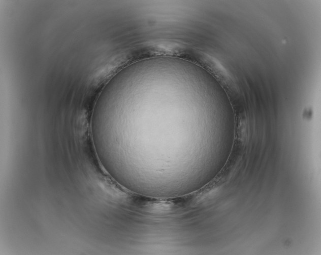 X0000090490318200707272346