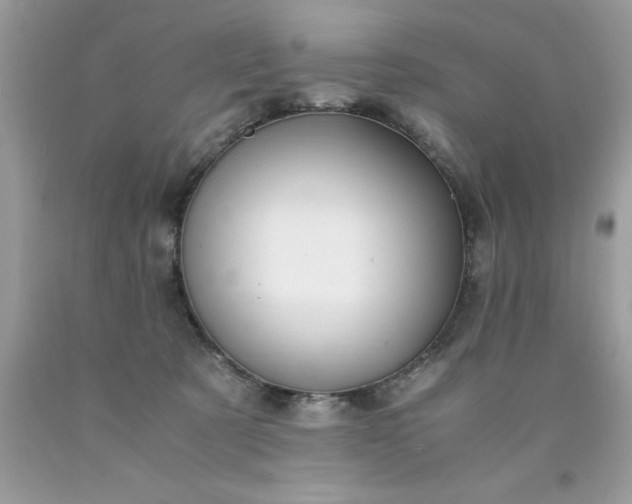 X0000090490321200707272346