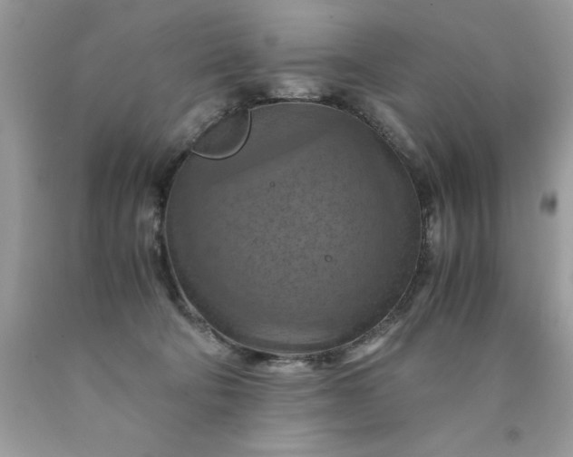 X0000090490322200707272346