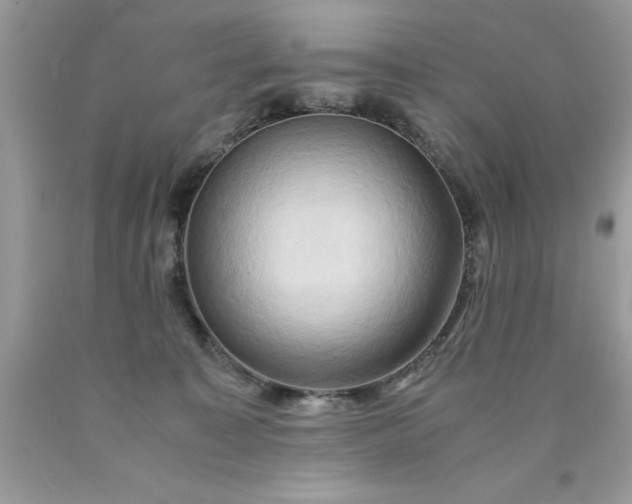 X0000090490323200707272346