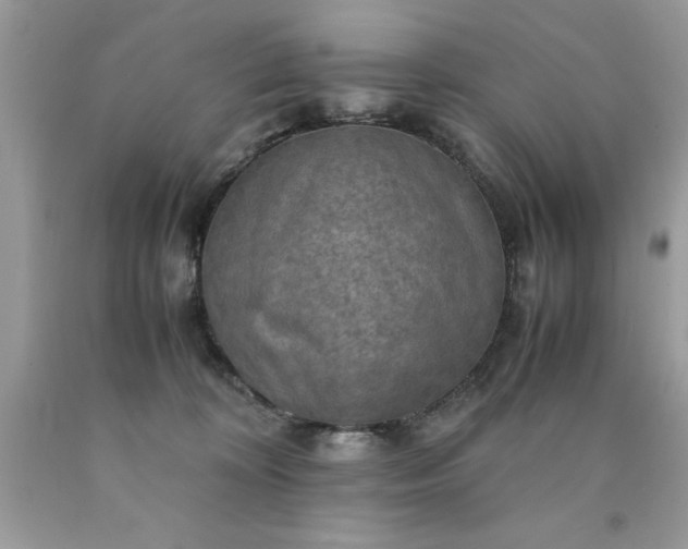 X0000090490324200707272346