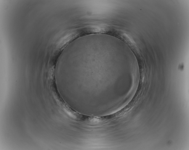 X0000090490325200707272346