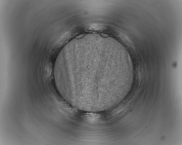 X0000090490328200707272346