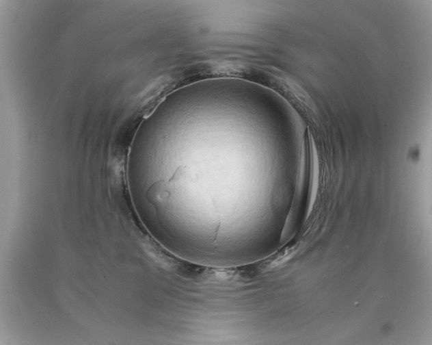 X0000090490329200707272346