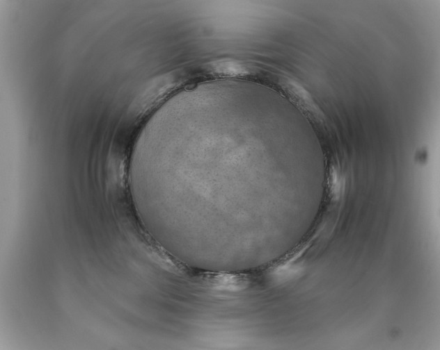 X0000090490330200707272346