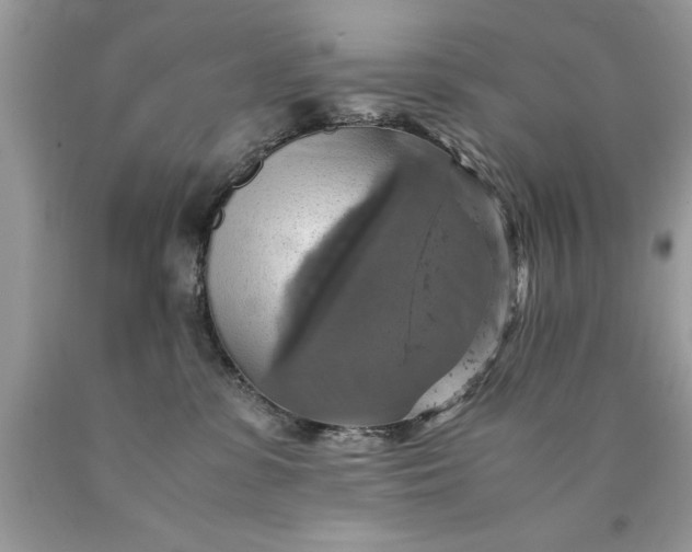 X0000090490331200707272346