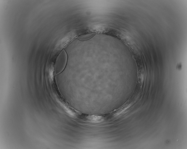 X0000090490334200707272346