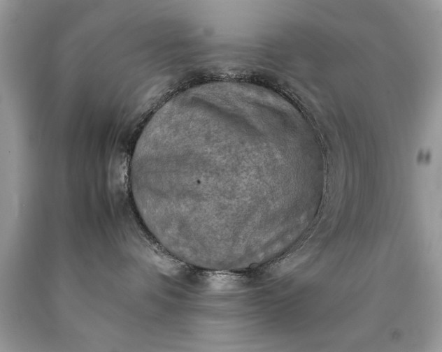 X0000090490336200707272346
