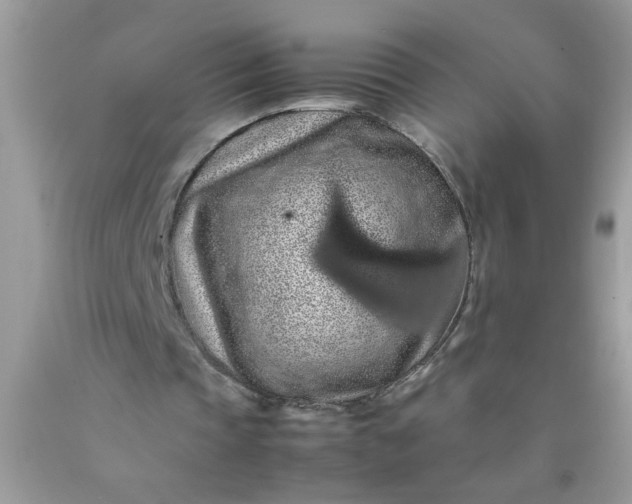 X0000090490337200707272345
