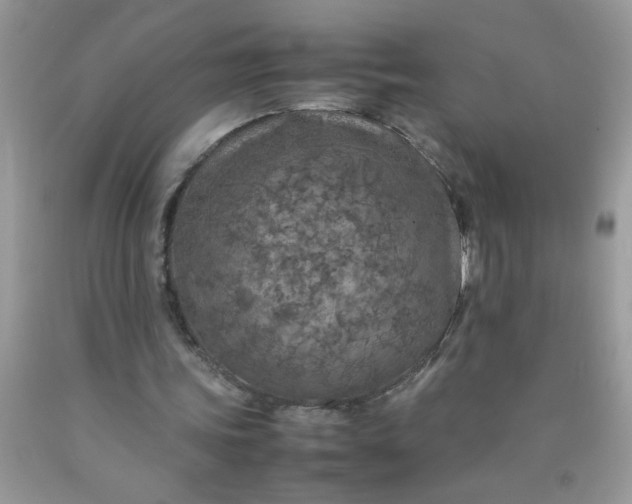X0000090490339200707272345