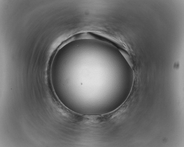 X0000090490340200707272345