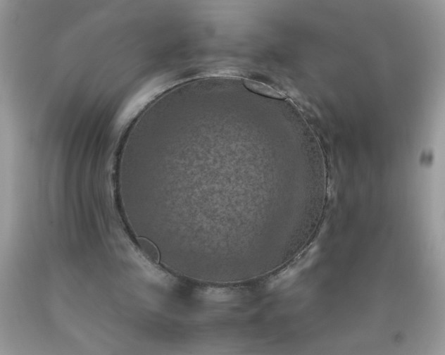 X0000090490341200707272345