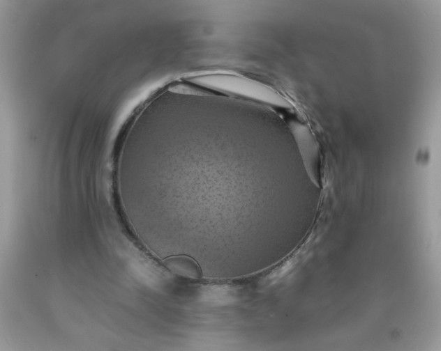 X0000090490342200707272345
