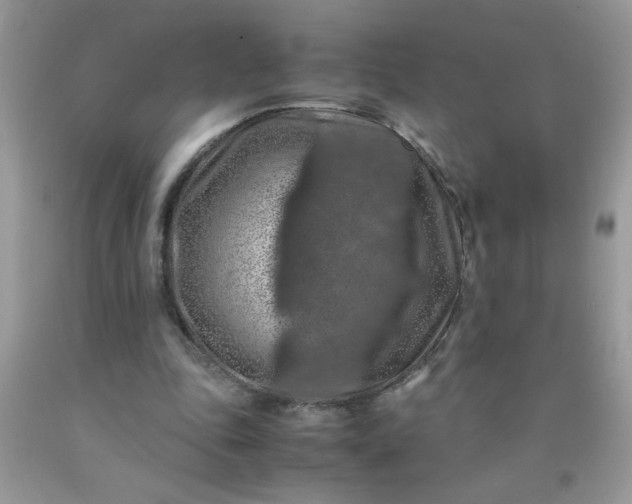X0000090490343200707272345