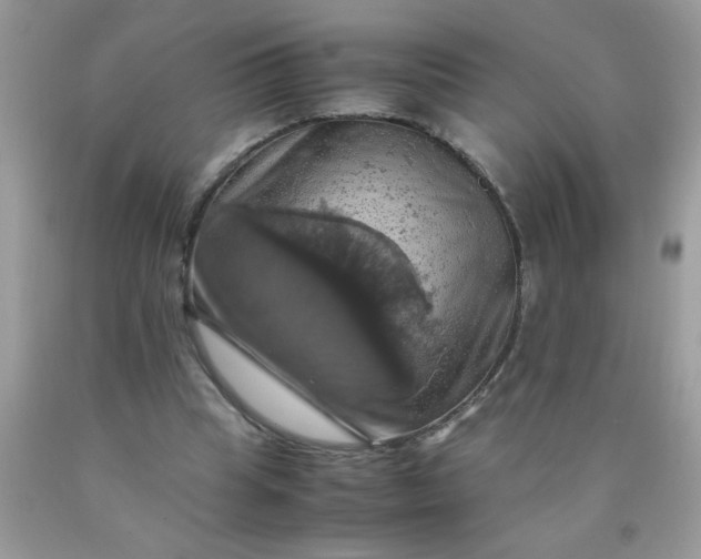 X0000090490345200707272345