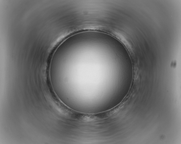 X0000090490346200707272345
