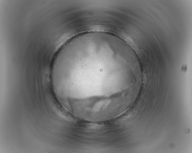 X0000090490347200707272345