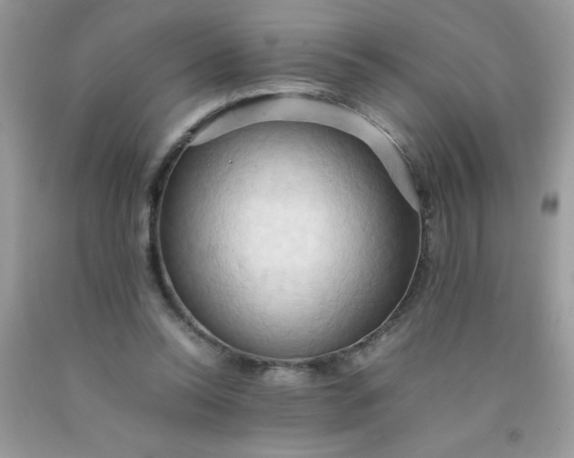 X0000090490350200707272345