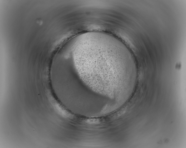 X0000090490353200707272345