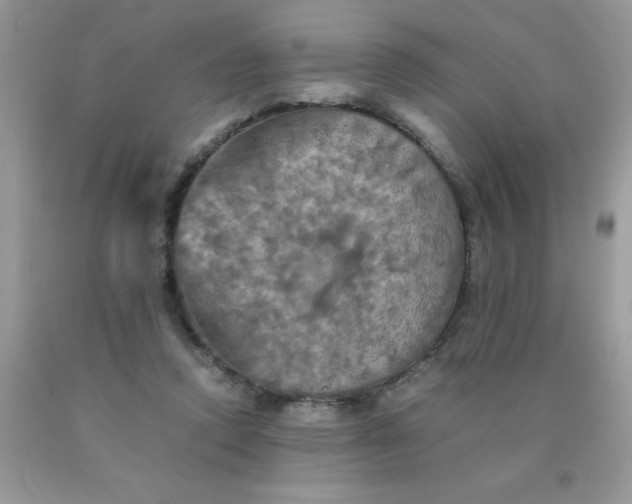 X0000090490354200707272345