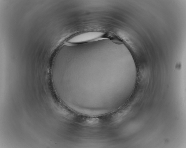 X0000090490355200707272345