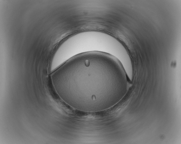X0000090490356200707272345