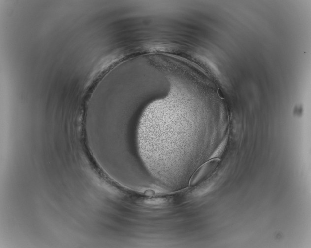 X0000090490357200707272345