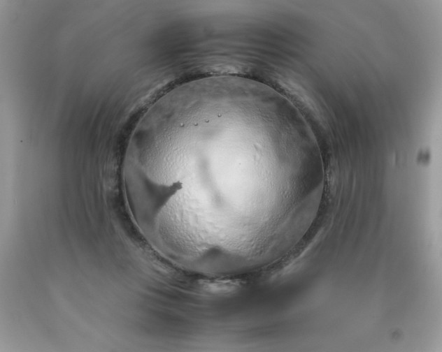 X0000090490359200707272345