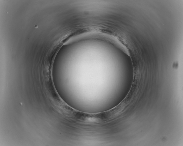 X0000090490360200707272345