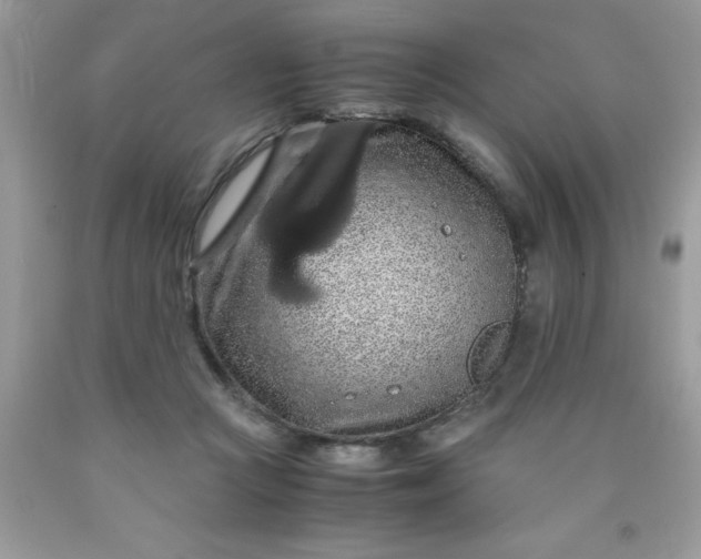 X0000090490361200707272345