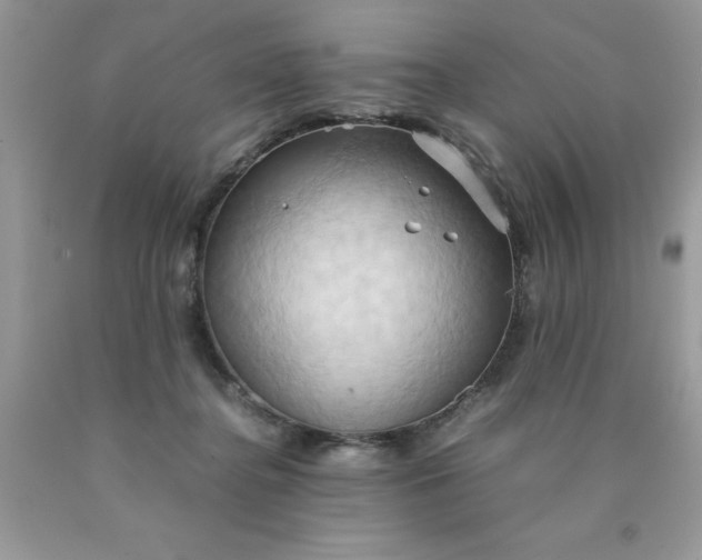 X0000090490364200707272345