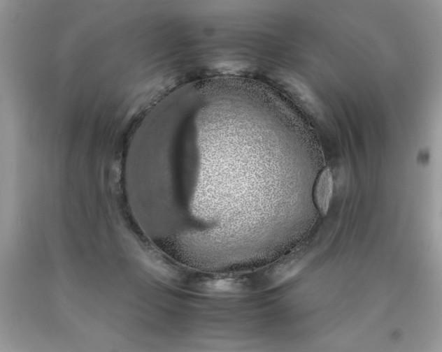 X0000090490365200707272345