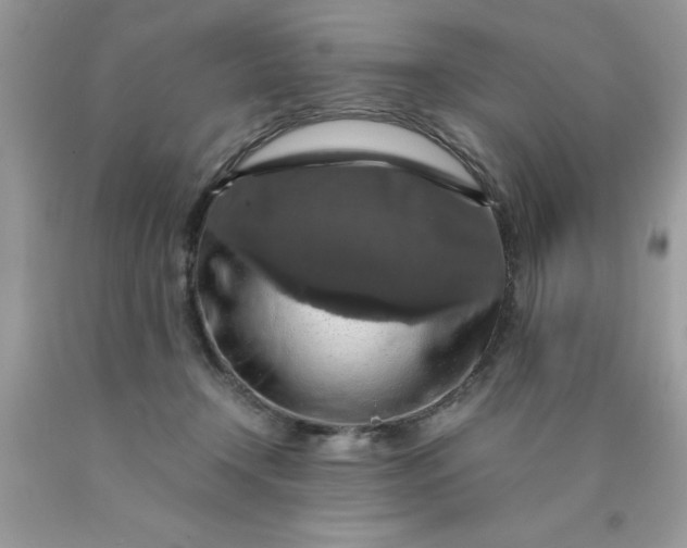 X0000090490366200707272345