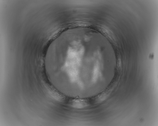 X0000090490367200707272345