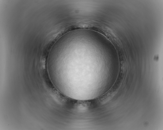 X0000090490368200707272345