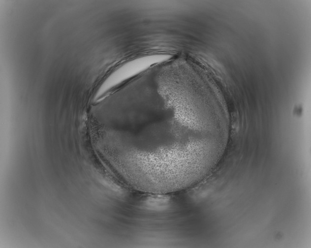 X0000090490369200707272345