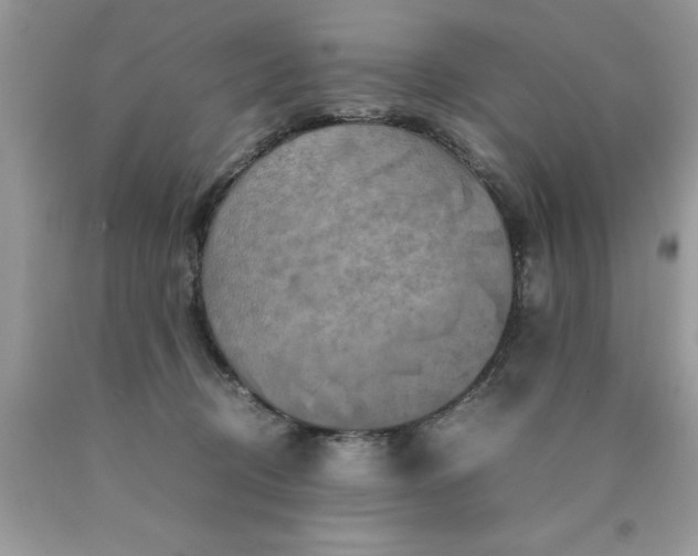 X0000090490370200707272345